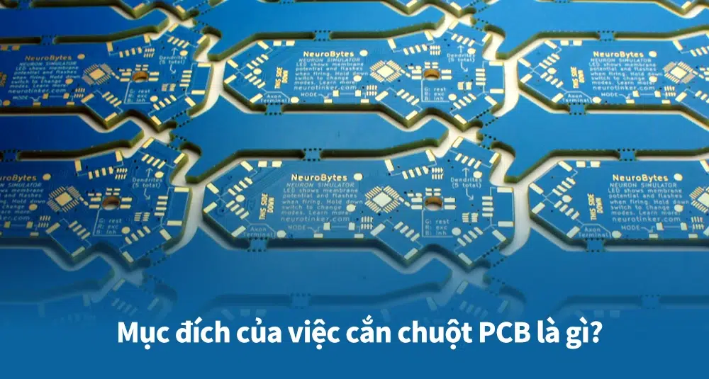 Mục đích của việc cắn chuột PCB là gì