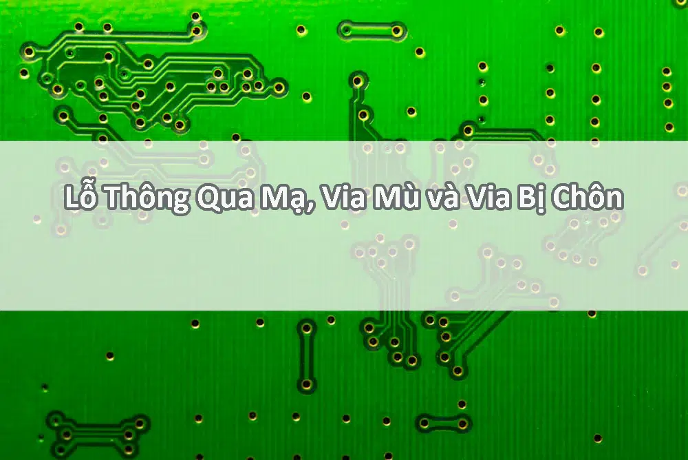 Lỗ Thông Qua Mạ, Via Mù và Via Bị Chôn